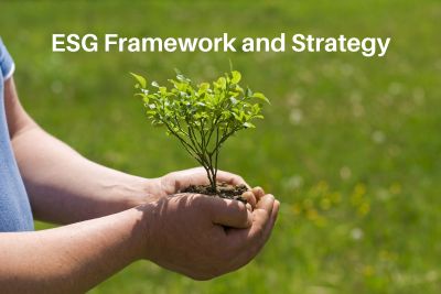 ESG Framework and Strategy